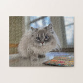Puzzle de chat de l'Himalaya persan (Horizontal)