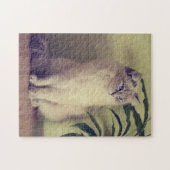 Puzzle de chat de Ragdoll (Horizontal)
