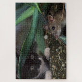 Puzzle de chat et de souris mignons (Vertical)