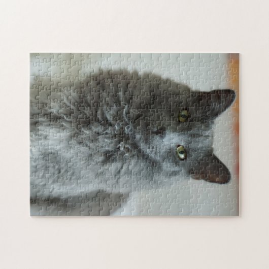 Puzzle de chat gris (Horizontal)