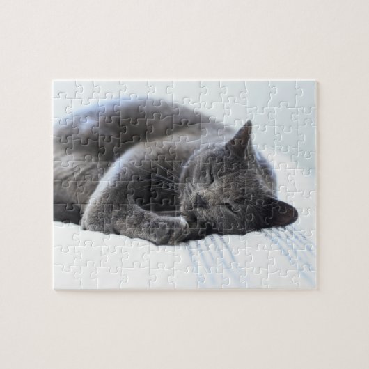 Puzzle de chat gris mou (Horizontal)