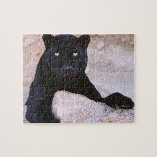 Puzzle de chat noir (Horizontal)