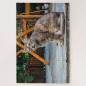 puzzle de chat patio (Vertical)
