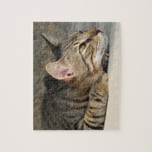 Puzzle de chat tigré (Vertical)