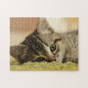 puzzle de chaton