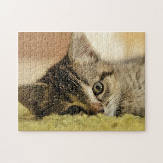 puzzle de chaton (Horizontal)