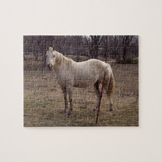 Puzzle de cheval blanc (Horizontal)