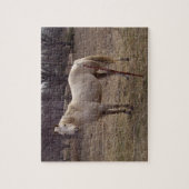 Puzzle de cheval blanc (Vertical)