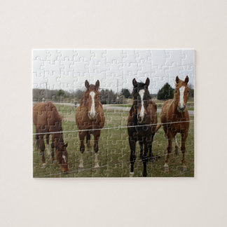 Puzzle de chevaux