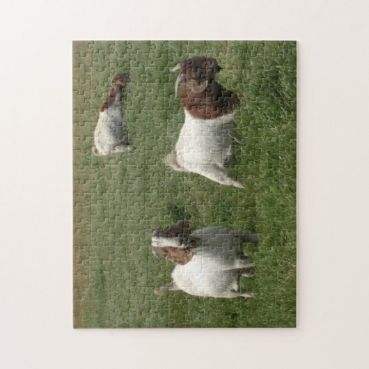 Puzzle de chèvres (Vertical)