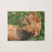 Puzzle de chien d'Airedale Terrier (Horizontal)