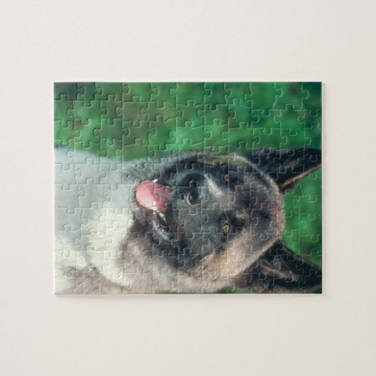 Puzzle de chien d'Akita (Horizontal)