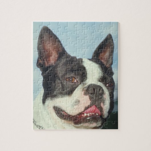 Puzzle de chien de Boston Terrier (Vertical)