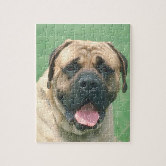 Puzzle de chien de Bullmastiff de faon (Vertical)