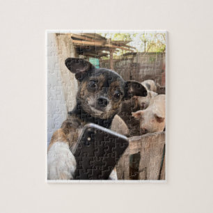 Puzzle de chien de ferme Chihuahua drôle