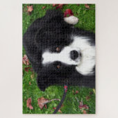 Puzzle de chien de mouton noir et blanc (Vertical)
