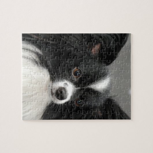 Puzzle de chien de Papillon (Horizontal)