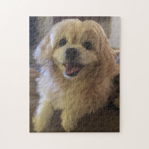 Puzzle de chien de Peekapoo