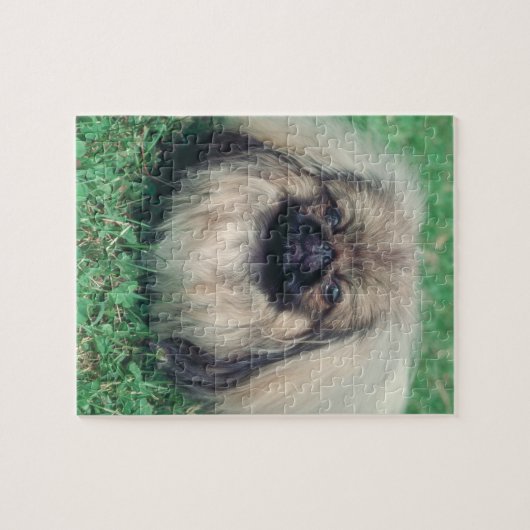 Puzzle de chien de Pekingese (Horizontal)