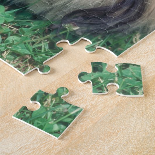 Puzzle de chien de Pekingese (Côté)