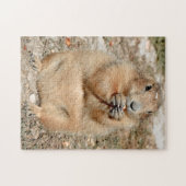Puzzle de chien de prairie grignotant (Horizontal)