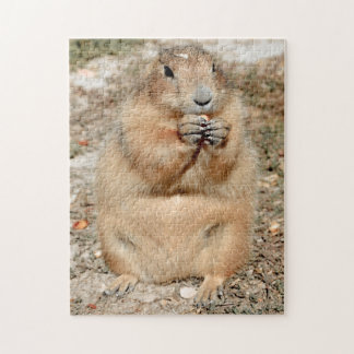 Puzzle de chien de prairie grignotant