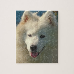 Puzzle de chien de Samoyed