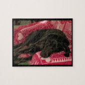 Puzzle de chien endormi (Horizontal)