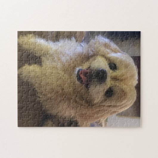 Puzzle de chien Peekapoo (Horizontal)