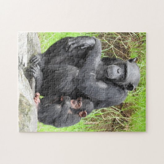 Puzzle de chimpanzé (Horizontal)