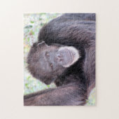 Puzzle de chimpanzé (Vertical)
