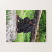Puzzle de chimpanzé de bébé (Horizontal)