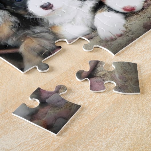 Puzzle de CHIOT d'Australiens de bleu de ciel (Côté)