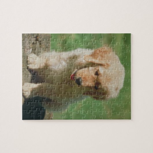Puzzle de chiot de golden retriever (Horizontal)