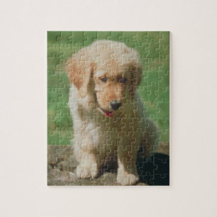 Puzzle de chiot de golden retriever