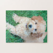 Puzzle de chiot de Goldendoodle (Horizontal)