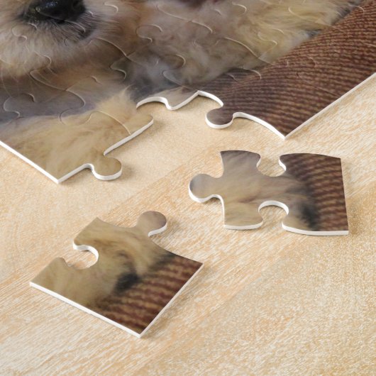 Puzzle de chiot de Goldendoodle (Côté)