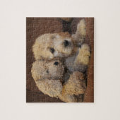 Puzzle de chiot de Goldendoodle (Vertical)