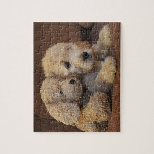 Puzzle de chiot de Goldendoodle (Vertical)