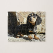 Puzzle de chiot de karma de teckels d'Eridox (Horizontal)