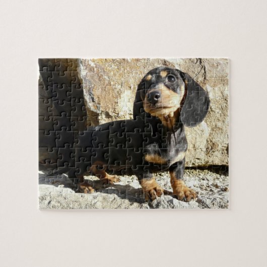 Puzzle de chiot de karma de teckels d'Eridox (Horizontal)