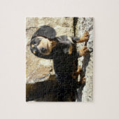 Puzzle de chiot de karma de teckels d'Eridox (Vertical)