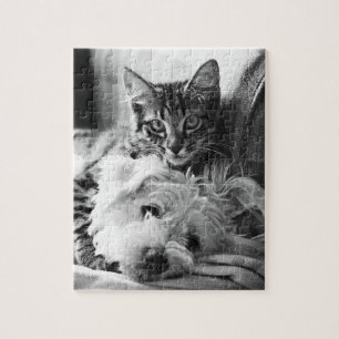 Puzzle de chiot et de chaton