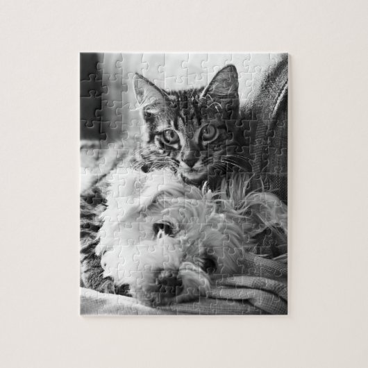 Puzzle de chiot et de chaton (Vertical)
