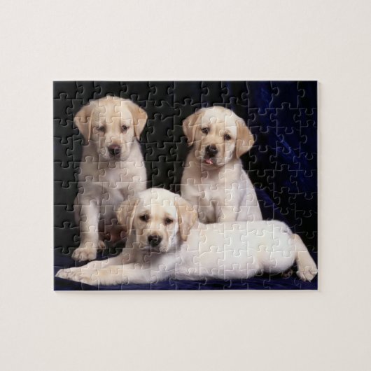 Puzzle de chiots de laboratoire (Horizontal)