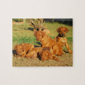 Puzzle de chiots de Rhodesian Ridgeback (Horizontal)