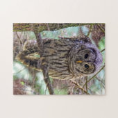 Puzzle de Chouette barrée (Horizontal)