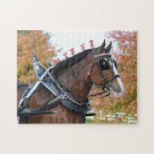 Puzzle de Clydesdale (Horizontal)