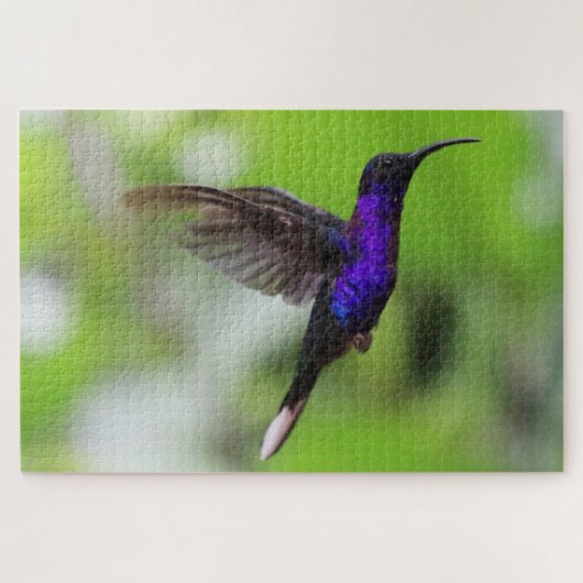 Puzzle de colibri (Horizontal)