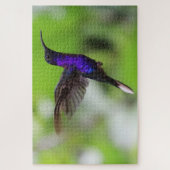 Puzzle de colibri (Vertical)